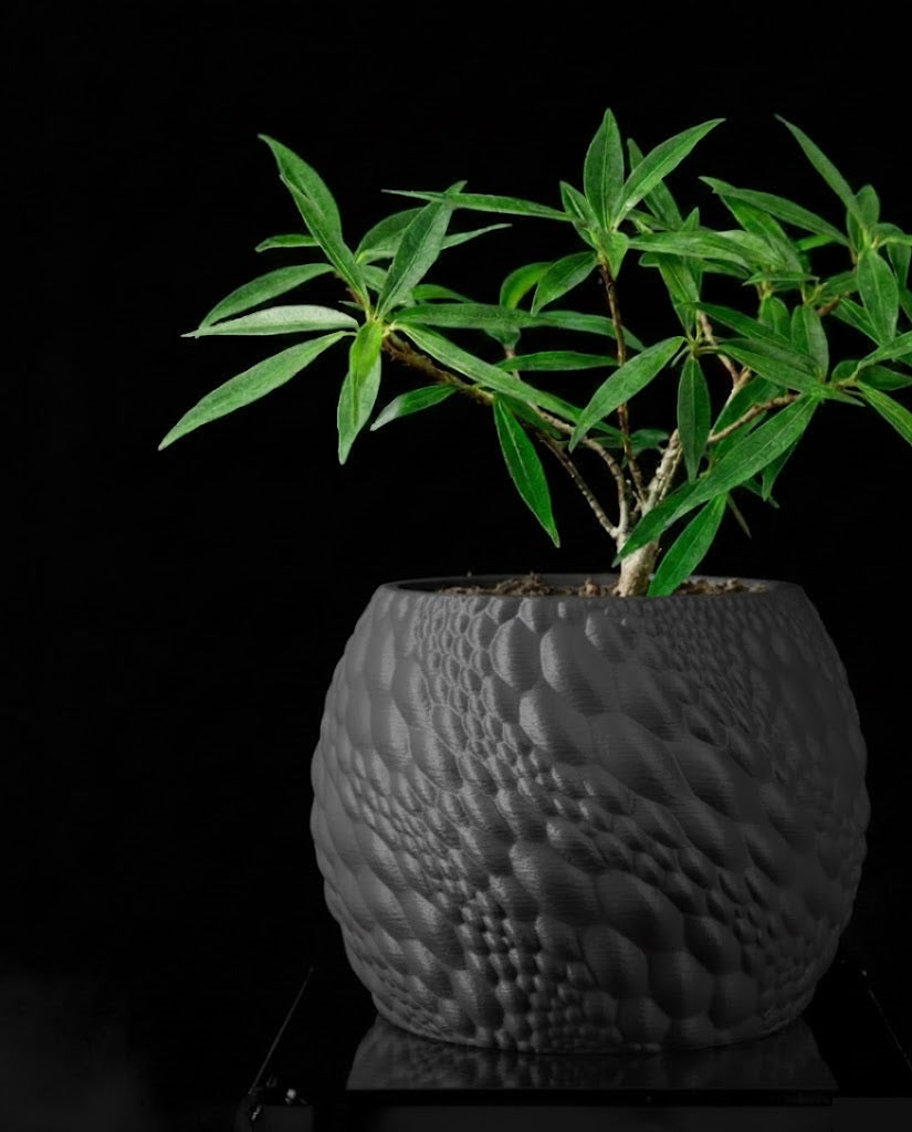 Gato Pflanztopf – Organisches 3D-Design für moderne Wohnräume