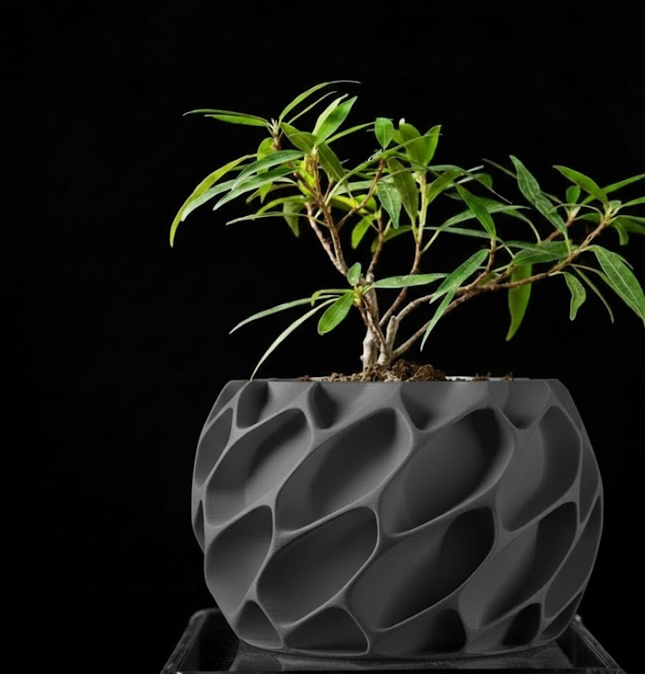Exo Planter – Der organisch-dynamische 3D-Pflanztopf