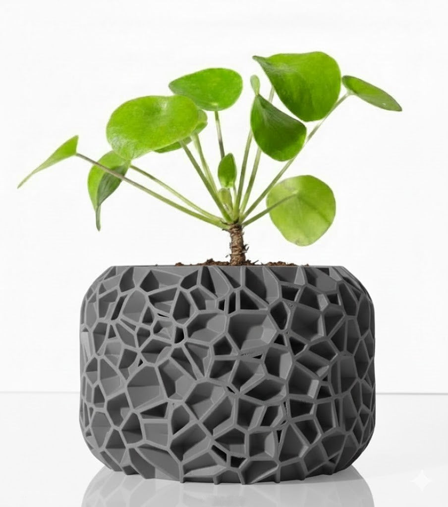 Der Vori – Organischer 3D-Pflanztopf im Voronoi-Look