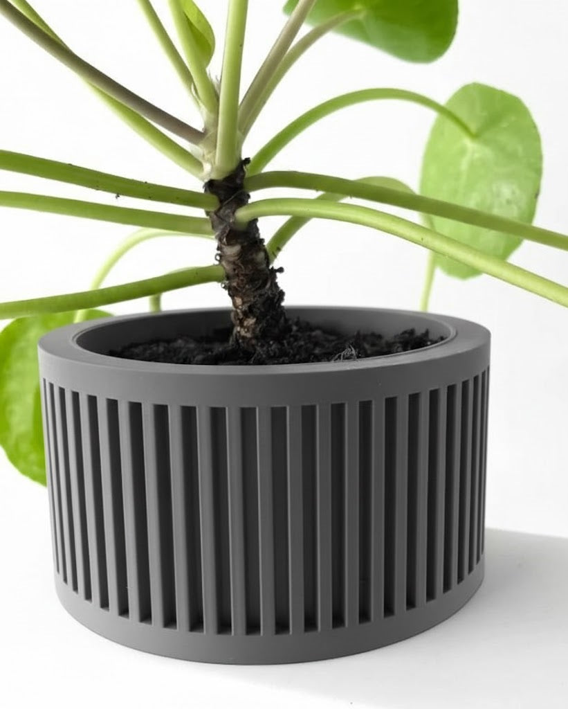 Paxon Pflanztopf – Moderner 3D-Design Blumentopf für stilvolles Wohnen