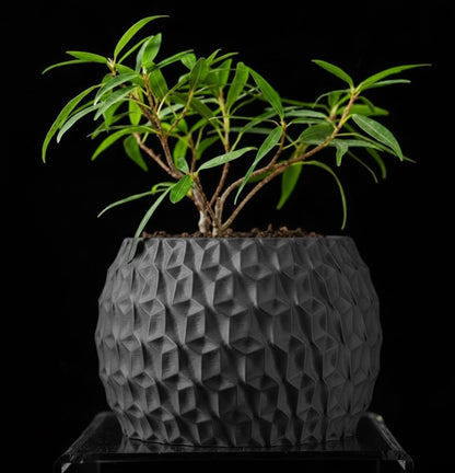 Hexa Planter Pot – 3D-Pflanztopf mit Facettenschliff