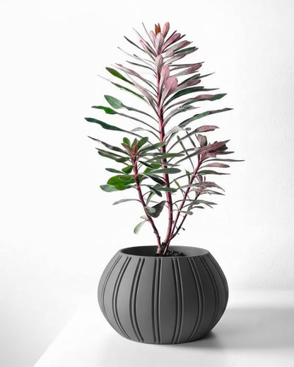 Ovire Pflanztopf – Organisch. Elegant. Einzigartig.
