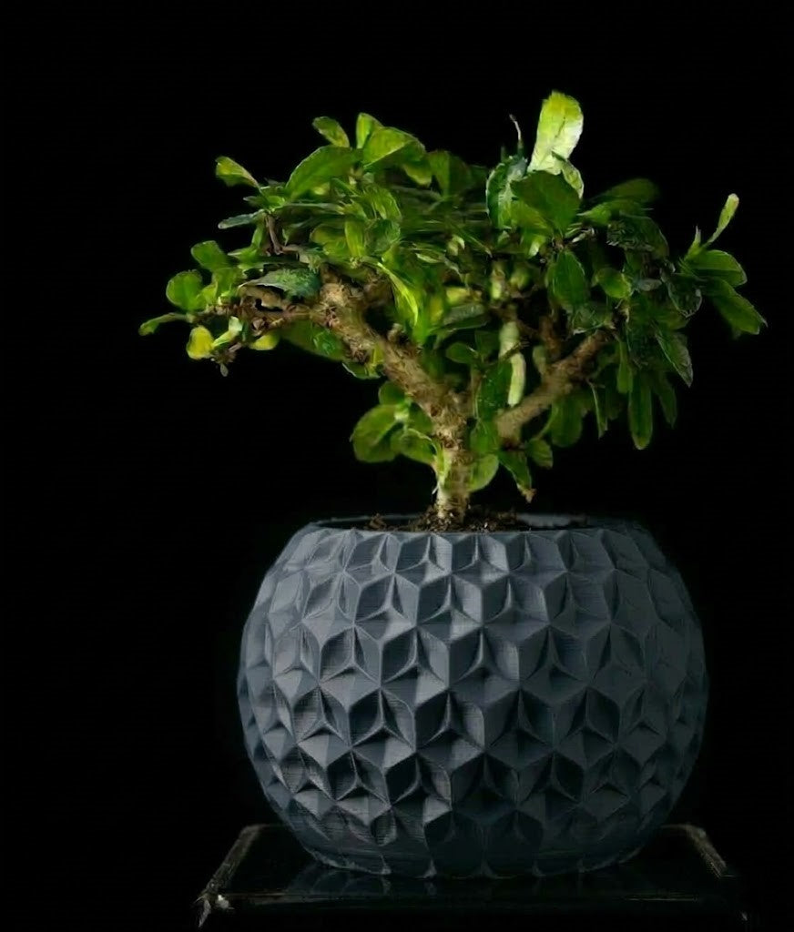 Trihex Pflanztopf – Geometrische Tiefe in 3D-Perfektion