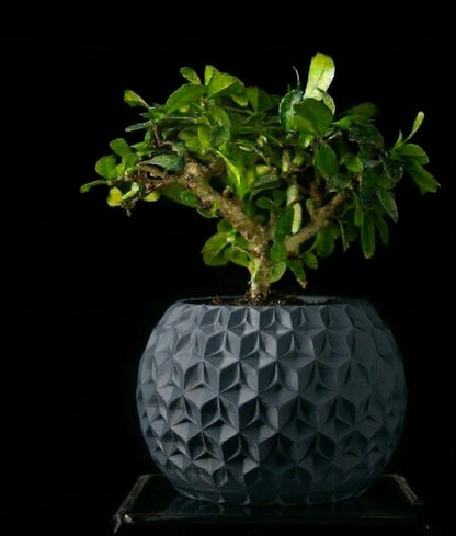 Trihex Pflanztopf – Geometrische Tiefe in 3D-Perfektion