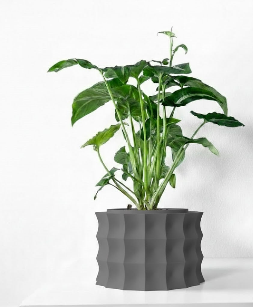 Kivern Pflanztopf – Design in Wellenform