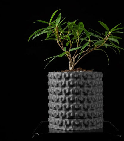 Robuster – Der markante 3D-Pflanztopf für starke Akzente