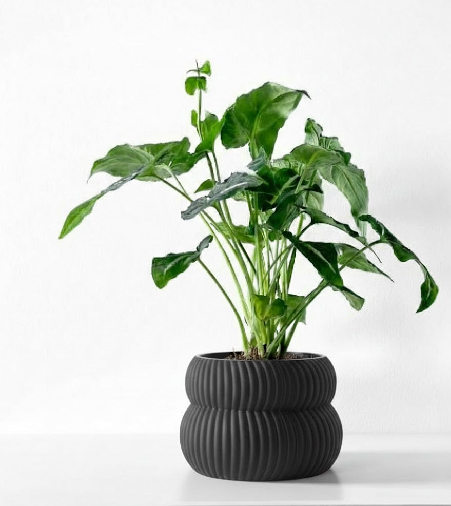 Quarn Pflanztopf – Weiche Konturen, starke Präsenz