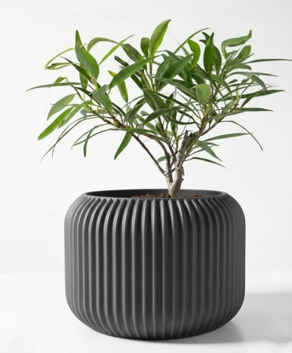 Der Unis – Zeitloser 3D-Pflanztopf mit rhythmischer Kontur