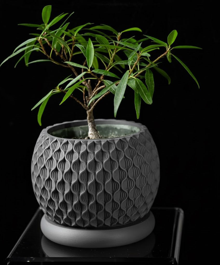 Bloom Planter – Der blüteninspirierte 3D-Pflanztopf mit organischer Struktur