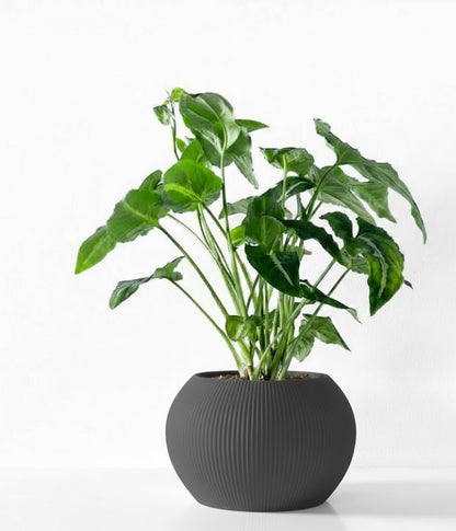 Melfi Pflanztopf – Zeitlose Eleganz in Linienform