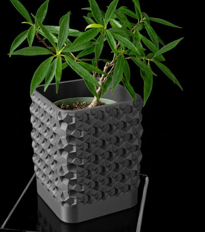 Rovi Square Planter Pot – Geometrie trifft Natur