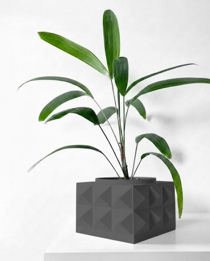 Eldan Pflanztopf – Geometrie mit Charakter