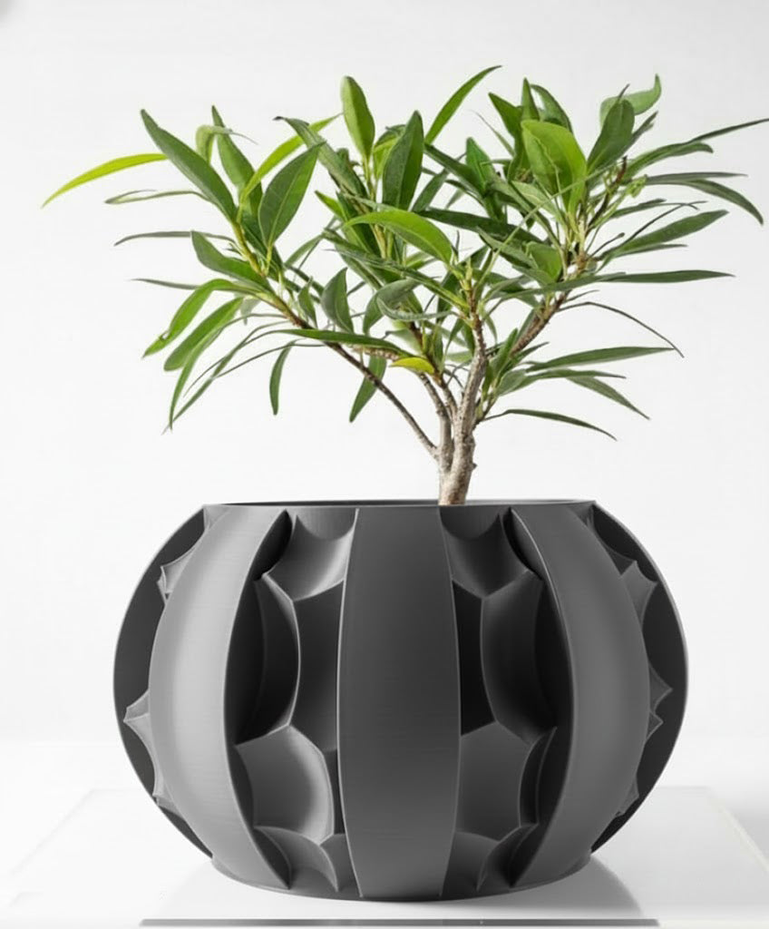 Der Erna – Skulpturale Eleganz trifft 3D-Pflanzenkultur