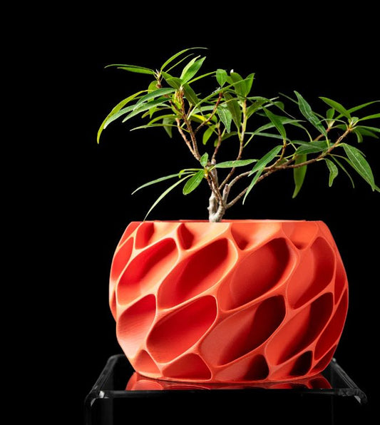 Exo Planter – Der organisch-dynamische 3D-Pflanztopf