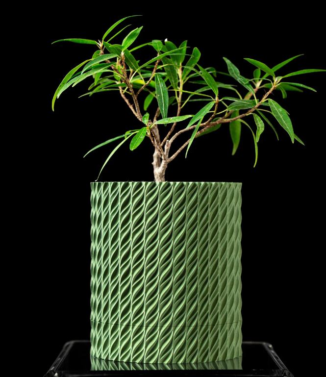 Flow Planter – Der spiraldynamische 3D-Pflanztopf