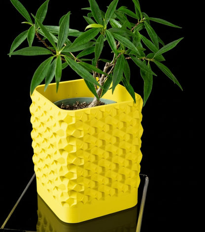 Rovi Square Planter Pot – Geometrie trifft Natur