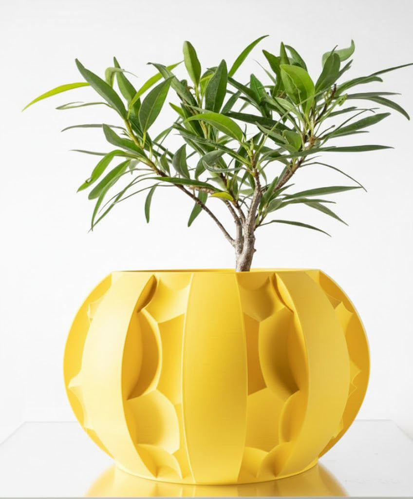 Der Erna – Skulpturale Eleganz trifft 3D-Pflanzenkultur