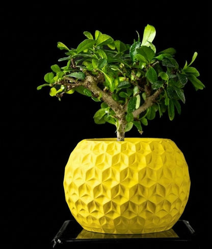 Trihex Pflanztopf – Geometrische Tiefe in 3D-Perfektion