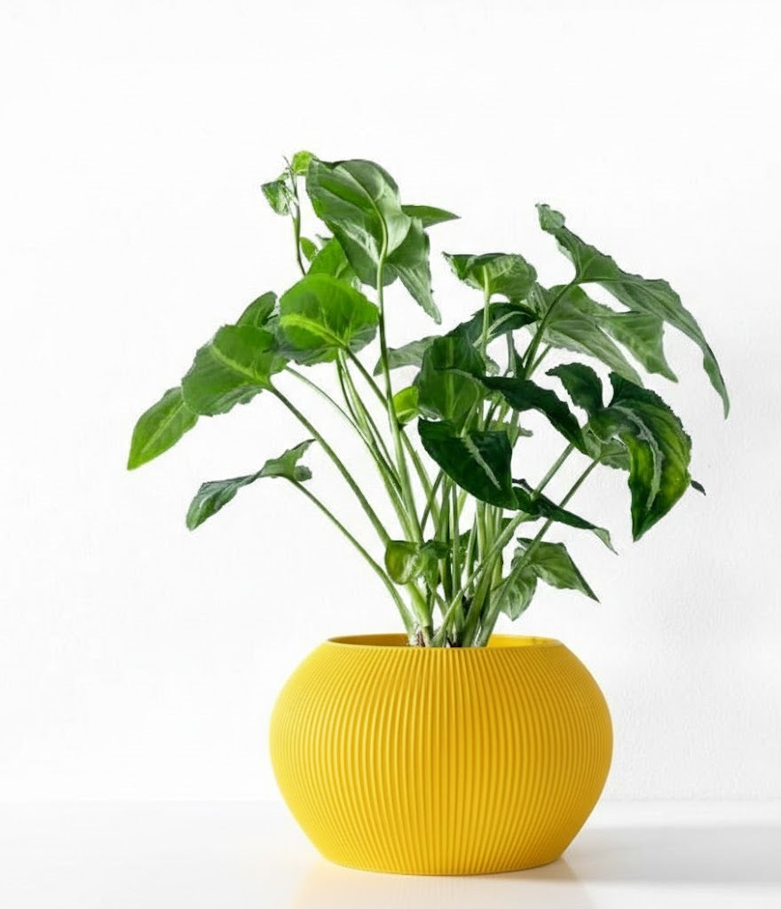 Melfi Pflanztopf – Zeitlose Eleganz in Linienform