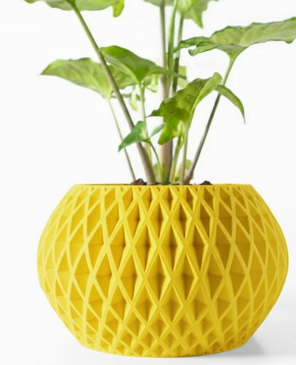 Gisar – Der 3D-Pflanztopf mit rautenstarker Präsenz