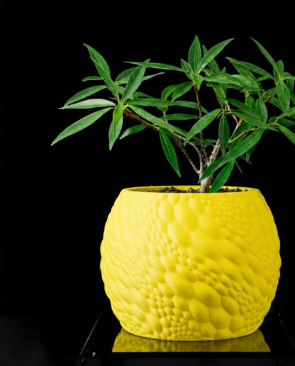 Gato Pflanztopf – Organisches 3D-Design für moderne Wohnräume