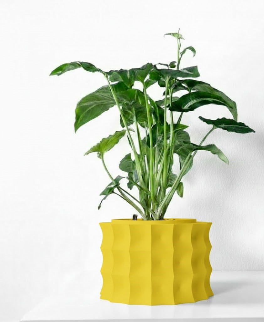 Kivern Pflanztopf – Design in Wellenform