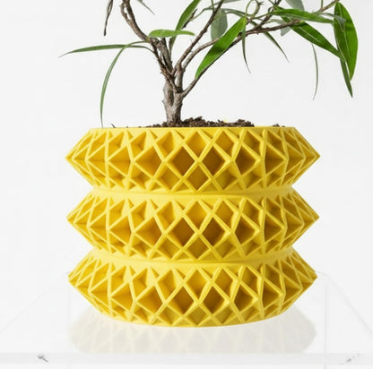 Der Tomo – 3D-Pflanztopf mit geometrischer Raffinesse