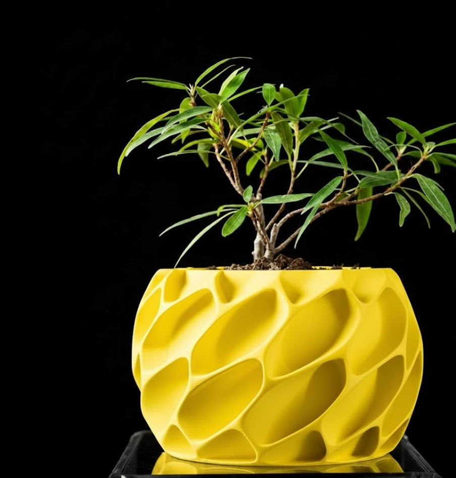Exo Planter – Der organisch-dynamische 3D-Pflanztopf