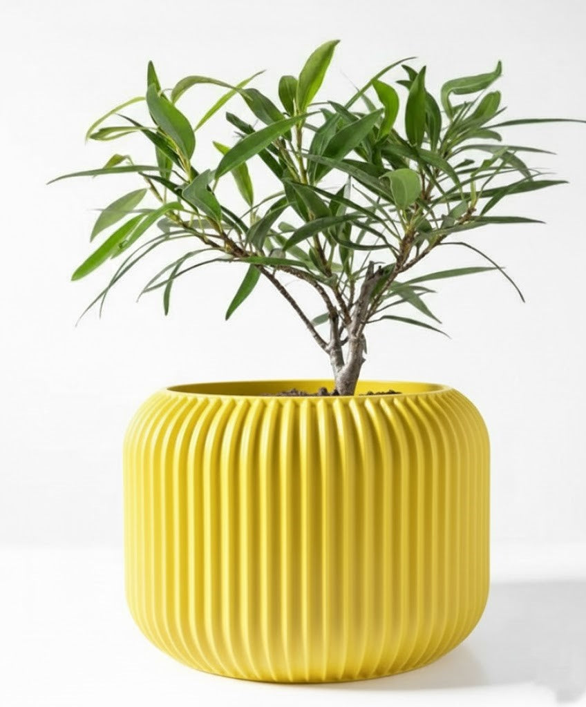 Der Unis – Zeitloser 3D-Pflanztopf mit rhythmischer Kontur