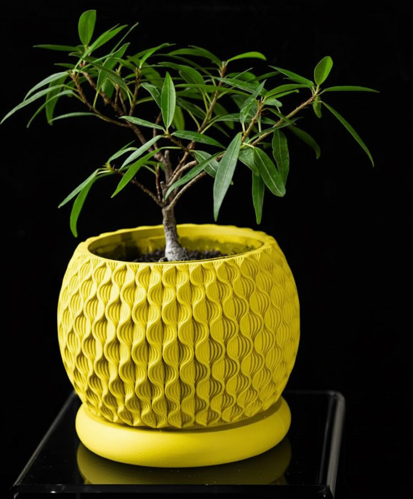 Bloom Planter – Der blüteninspirierte 3D-Pflanztopf mit organischer Struktur