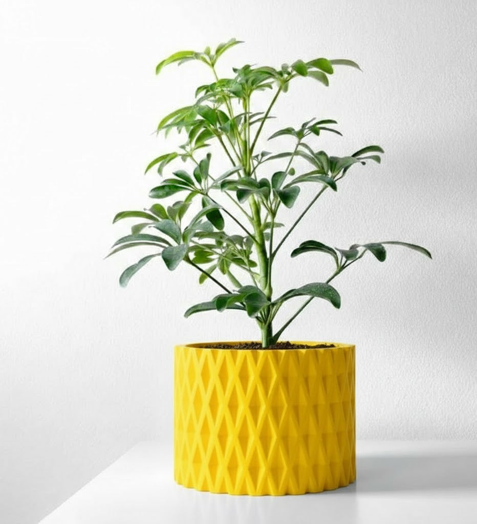 Grivan Pflanztopf – Geometrie trifft Eleganz