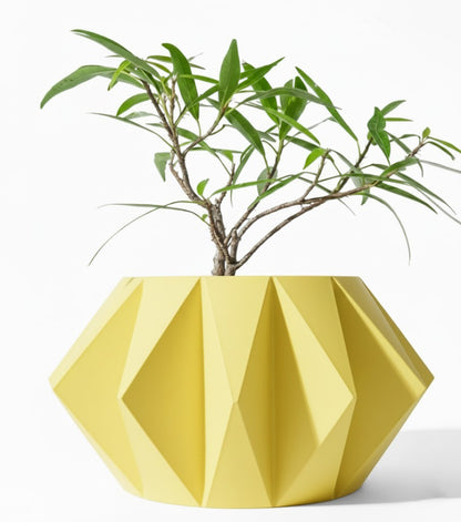 Der Koni – Geometrischer 3D-Pflanztopf mit markanter Facettenstruktur
