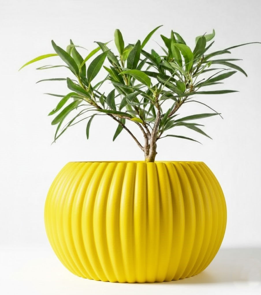 Der Roni – 3D-Pflanztopf mit harmonischer Rillenstruktur