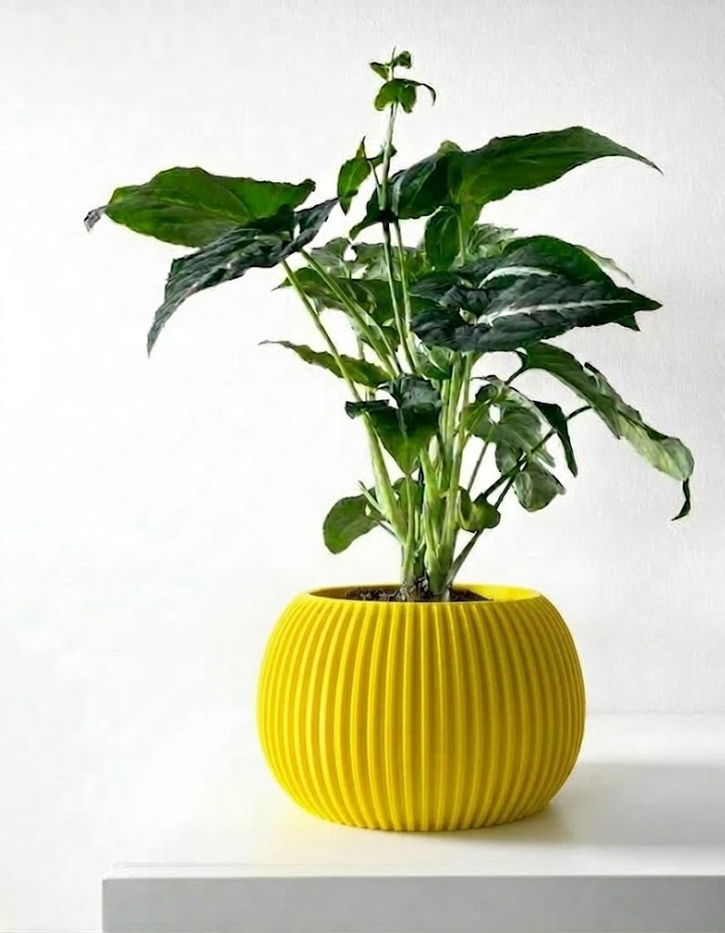 Surno Pflanztopf – Klassik neu definiert