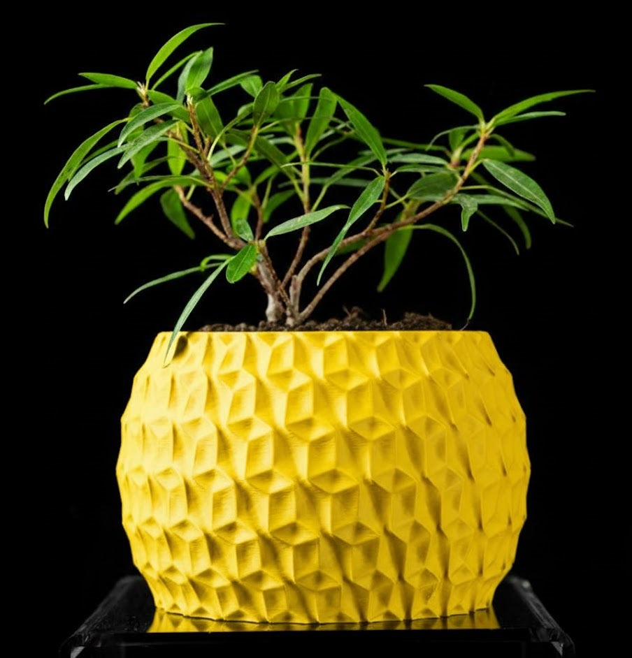 Hexa Planter Pot – 3D-Pflanztopf mit Facettenschliff