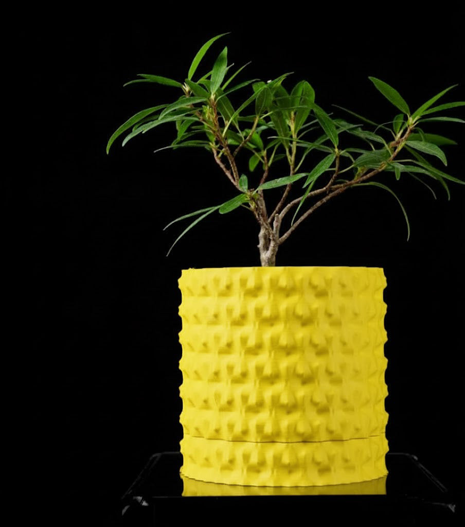 Robuster – Der markante 3D-Pflanztopf für starke Akzente