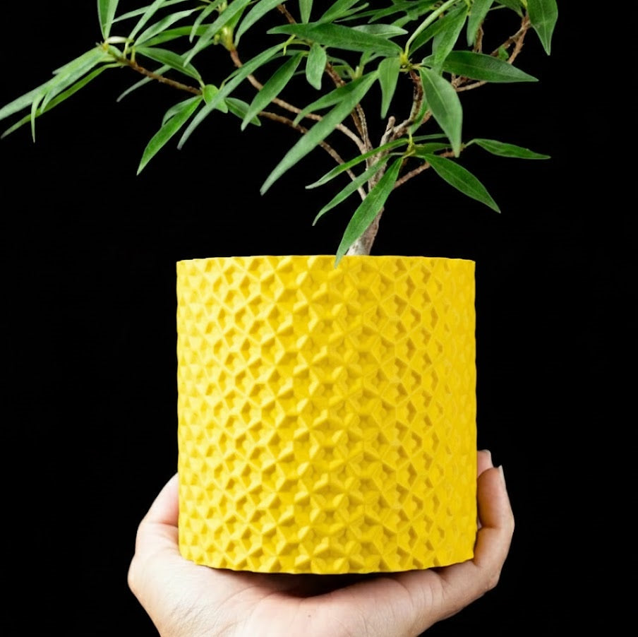 Ordan Planter Pot 3D– Geometrie trifft Natur