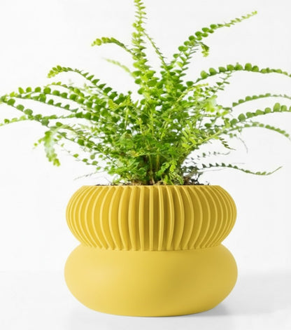 Der Elomi – 3D-Pflanztopf mit dynamischer Zweiteilung und skulpturaler Eleganz