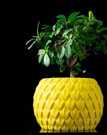 Scale – Der 3D Pflanztopf mit Schuppenstruktur und skulpturaler Eleganz