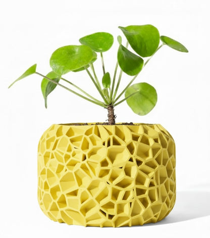 Der Vori – Organischer 3D-Pflanztopf im Voronoi-Look