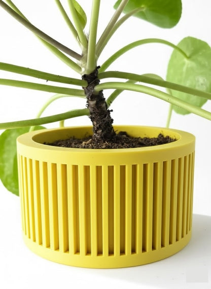 Paxon Pflanztopf – Moderner 3D-Design Blumentopf für stilvolles Wohnen