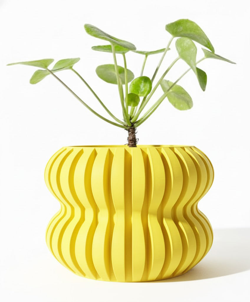 Der Daso – rhythmische Struktur im 3D-Design