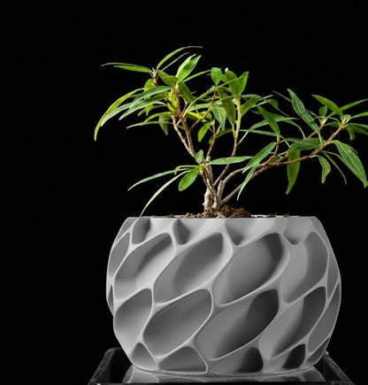 Exo Planter – Der organisch-dynamische 3D-Pflanztopf