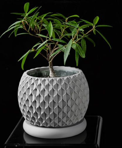 Bloom Planter – Der blüteninspirierte 3D-Pflanztopf mit organischer Struktur