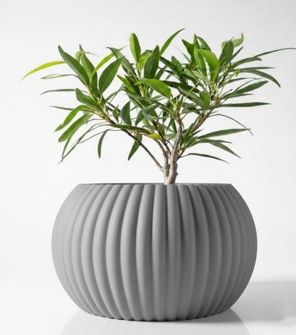 Der Roni – 3D-Pflanztopf mit harmonischer Rillenstruktur