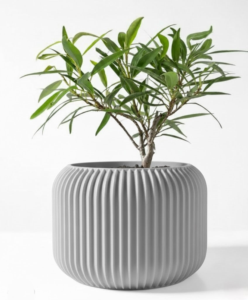 Der Unis – Zeitloser 3D-Pflanztopf mit rhythmischer Kontur
