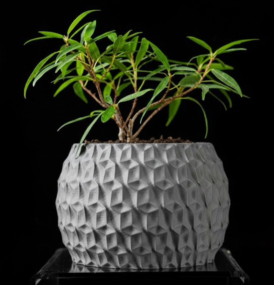 Hexa Planter Pot – 3D-Pflanztopf mit Facettenschliff