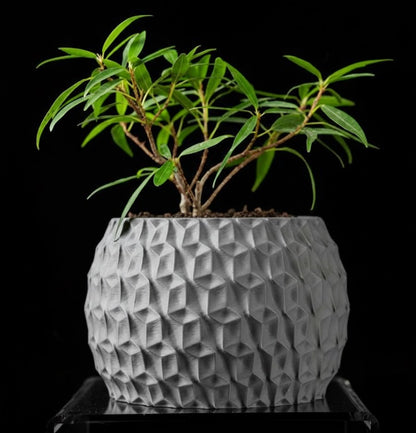 Hexa Planter Pot – 3D-Pflanztopf mit Facettenschliff