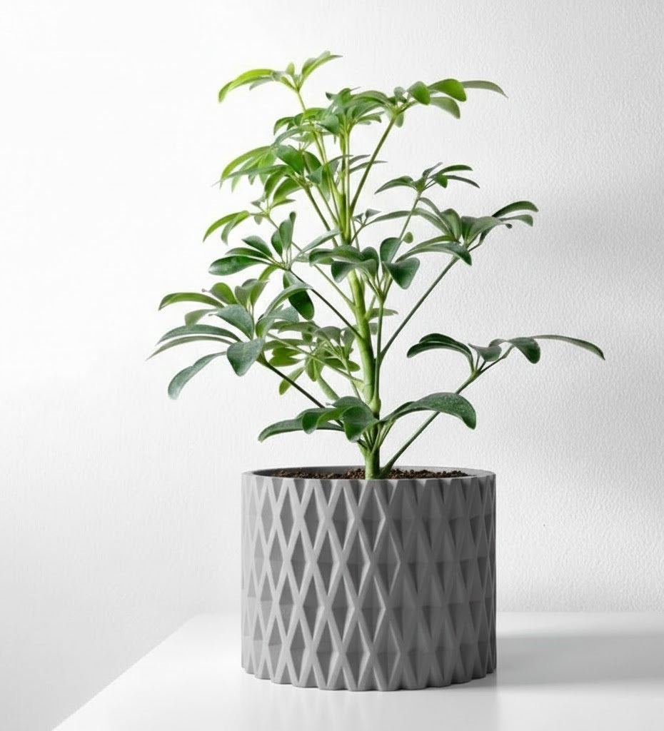 Grivan Pflanztopf – Geometrie trifft Eleganz