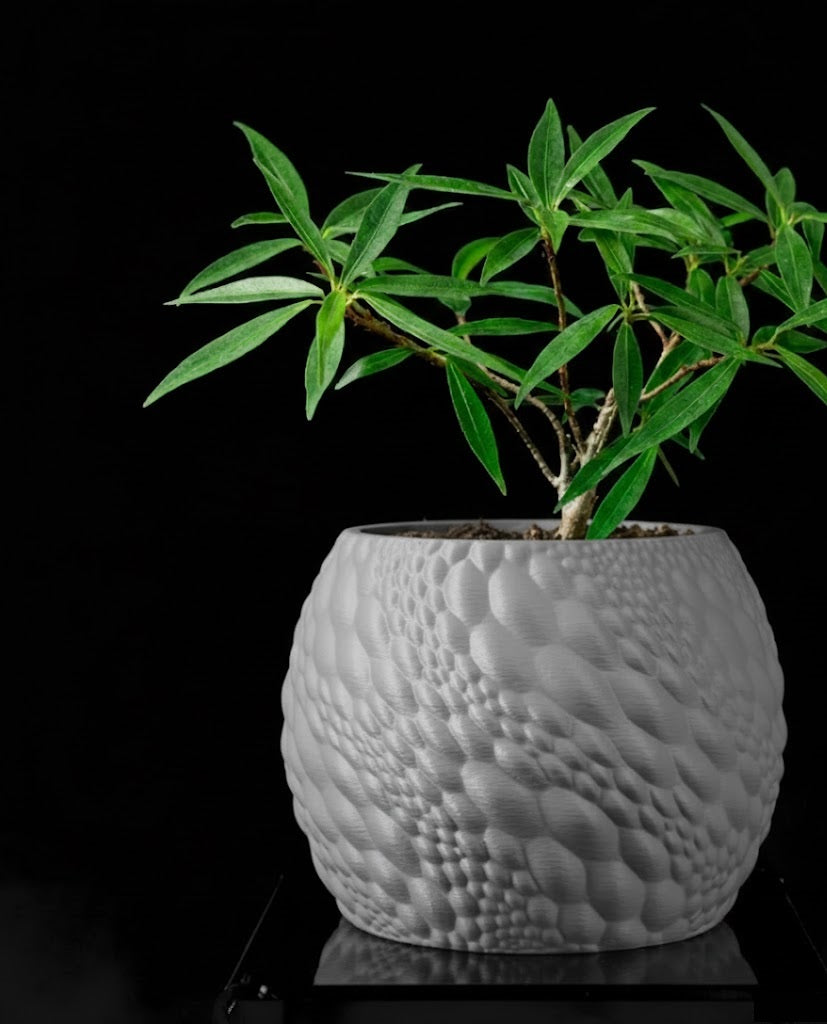 Gato Pflanztopf – Organisches 3D-Design für moderne Wohnräume